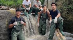 Pandawa Grup Profil Dan Asal Usul Terbentuknya - Coloradoaction