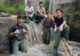 Pandawa Grup Profil Dan Asal Usul Terbentuknya - Coloradoaction