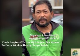 Kisah Inspiratif Driver Ojol Gojek: Pak Anwar Pelihara 68 ekor Kucing Tanpa Lelah