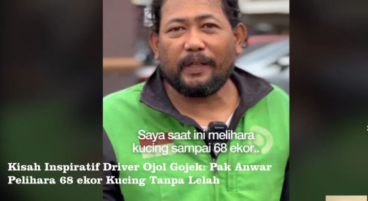 Kisah Inspiratif Driver Ojol Gojek: Pak Anwar Pelihara 68 ekor Kucing Tanpa Lelah