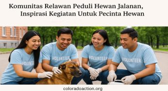 Komunitas Relawan Peduli Hewan Jalanan, Inspirasi Kegiatan Untuk Pecinta Hewan