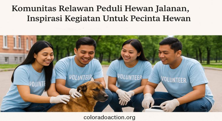 Komunitas Relawan Peduli Hewan Jalanan, Inspirasi Kegiatan Untuk Pecinta Hewan