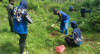 Peran Komunitas Relawan Reboisasi dalam Kelestarian Hutan