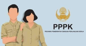 NIP PPPK 2024, Simak Progres dan Instansi yang Sudah Beres Prosesnya